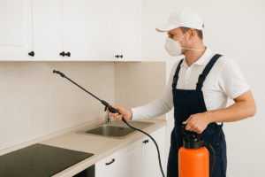 شركة مكافحة حشرات بالرياض